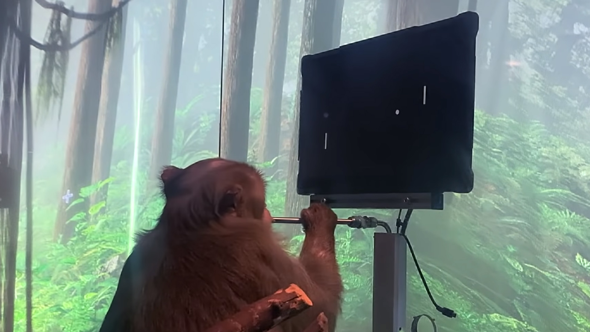 Neuralink has an amazing monkey who writes words with his brain